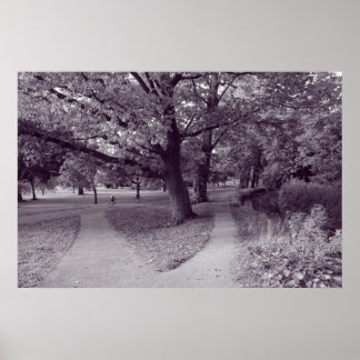 Póster Otoño en el parque - Tono púrpura BW