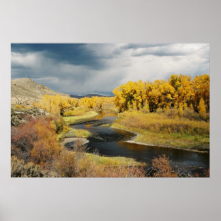 Póster Otoño en el río Gunnison, Colorado