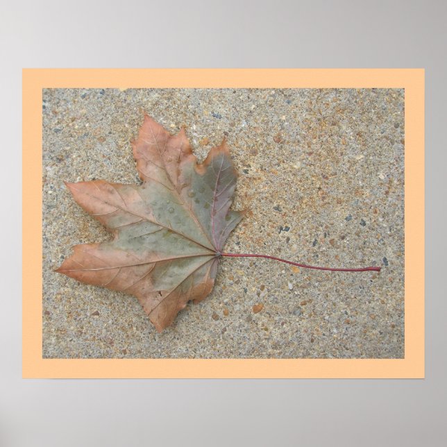 Póster Otoño en la acera (Frente)