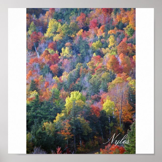 Póster Otoño en los Adirondacks (Frente)