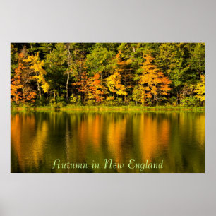 Póster Otoño en Nueva Inglaterra Imprimir