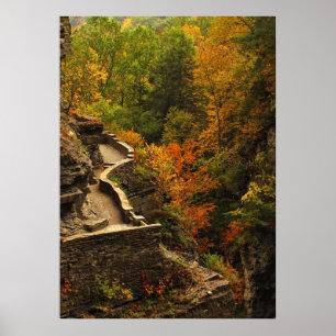 Póster Otoño en parque de estado de Treman