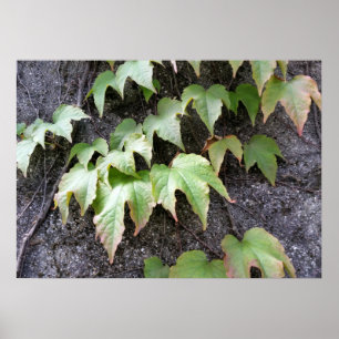 Póster Otoño en una pared