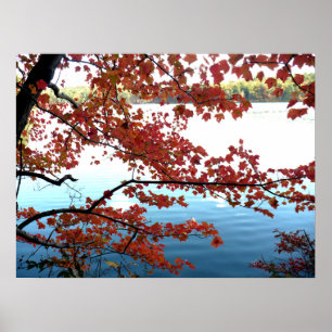 Póster Otoño en Walden Pond
