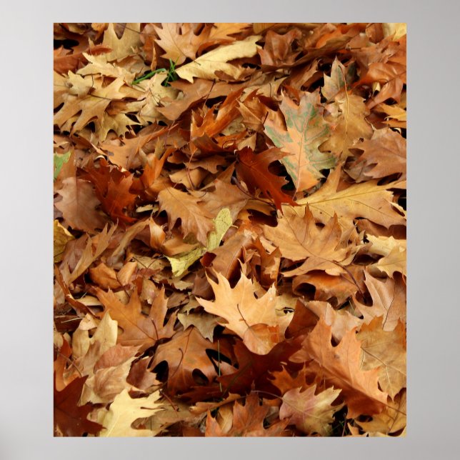 Póster otoño, hojas secas (Frente)
