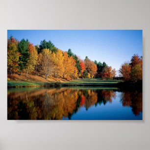 Póster Otoño Pacífico En Vermont