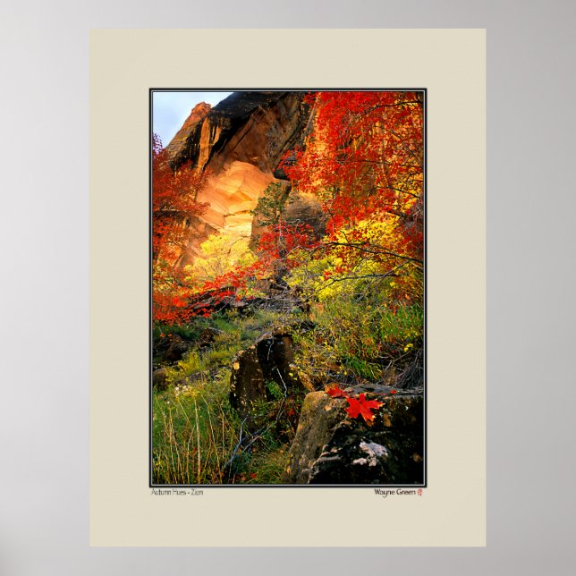 Póster Otoño - Parque nacional de Zion (Frente)
