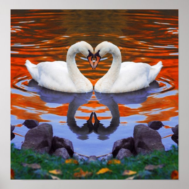 Póster Otoño Reflexiones sobre los cisnes enamorados (Frente)