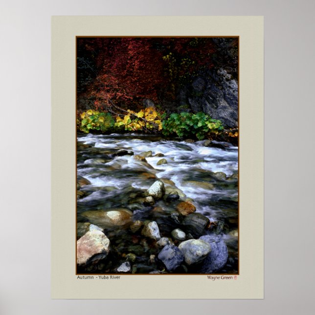 Póster Otoño - río Yuba, California (Frente)