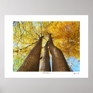 Póster Otoño salvaje