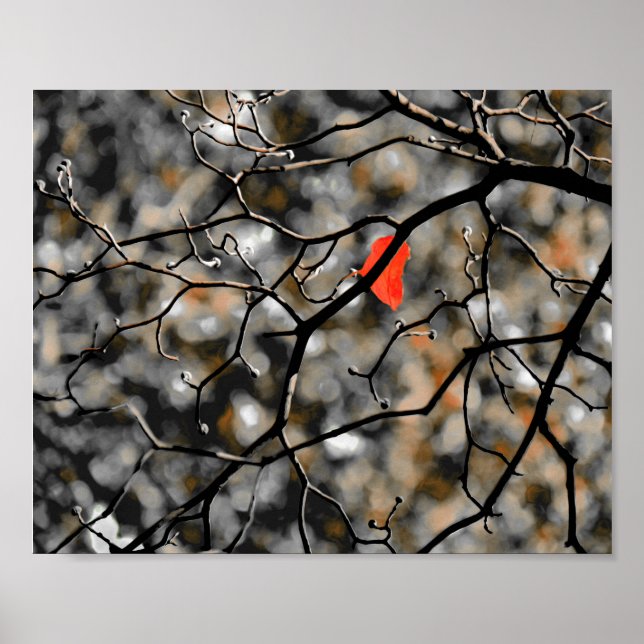 Póster Otoño tardío (Frente)