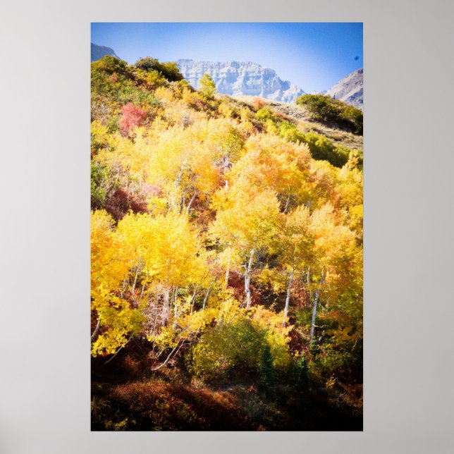 Póster Otoño y temporal (Frente)