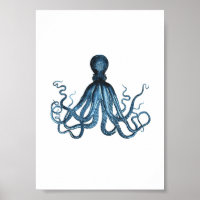 Otopus kraken fish acuático costero acuático