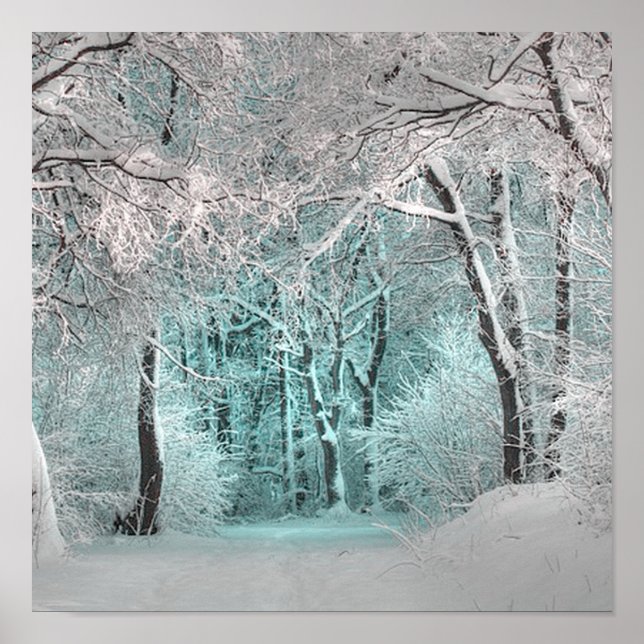 Póster otra maravilla de invierno 3 (Frente)