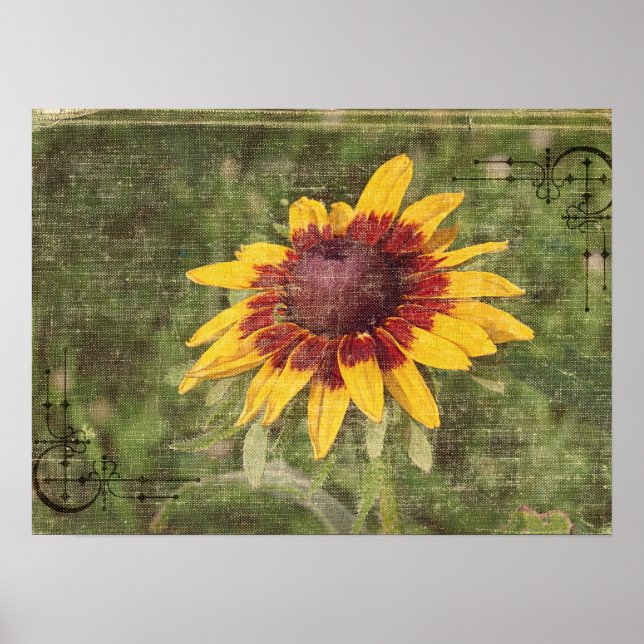 Póster Otra vez una flor (Frente)