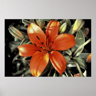 Póster Otro disparo naranja