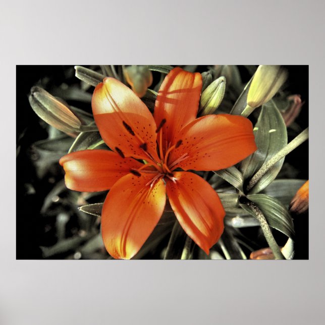 Póster Otro disparo naranja (Frente)