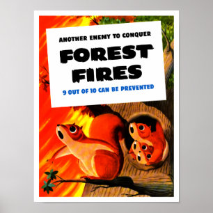 Póster Otro enemigo para conquistar incendios forestales 