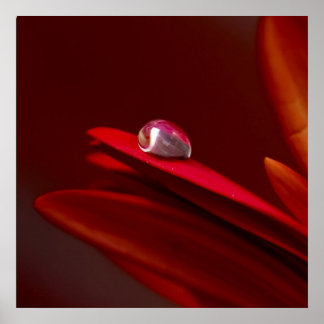 Póster Otro ladrillo en la pared