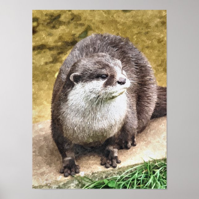 PÓSTER OTTER (Frente)
