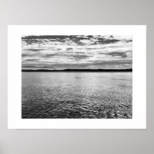 Póster Otter en la distancia fotografía en blanco y negro