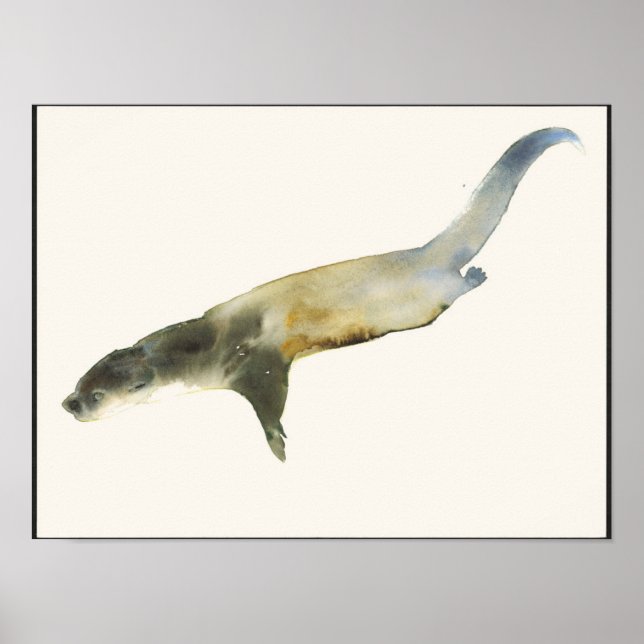 Póster Otter europeo (Frente)