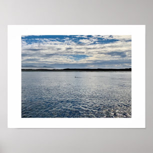 Póster Otter in the Distance California Color Photography