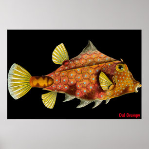 Póster Oul Grumpy Poster