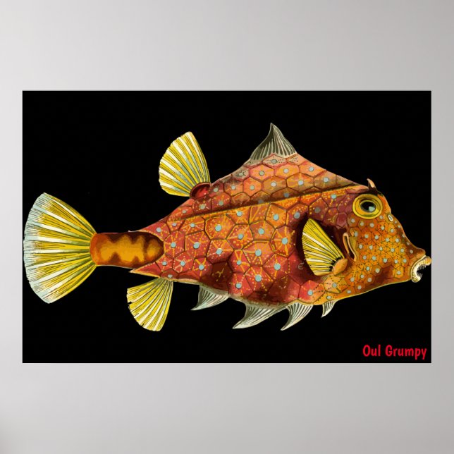 Póster Oul Grumpy Poster (Frente)