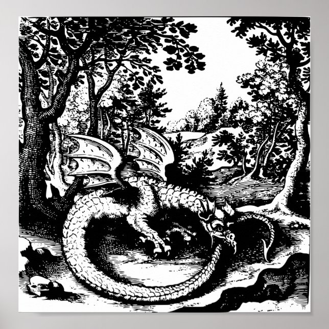 Póster Ouroboros Dragon (Frente)