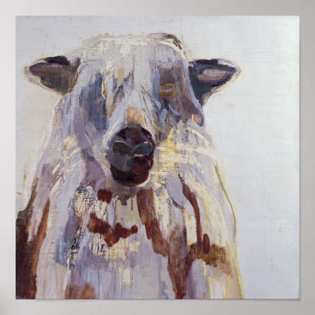 Póster Oveja (Frente)