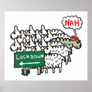 Póster Oveja antibloqueo