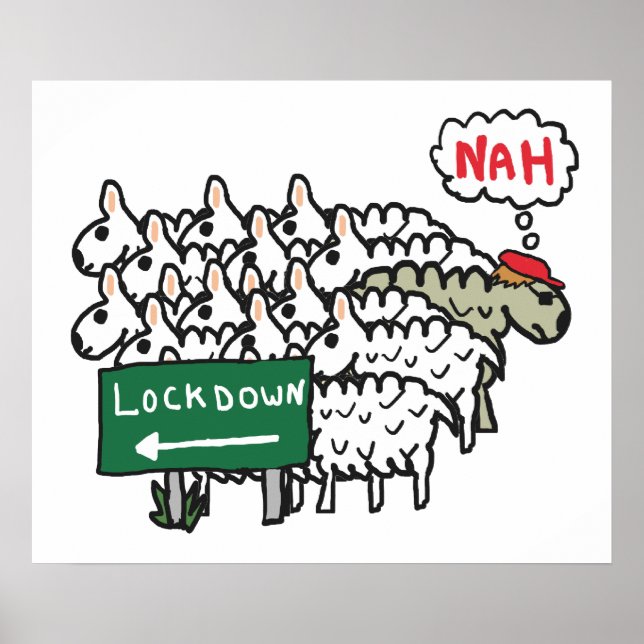 Póster Oveja antibloqueo (Frente)