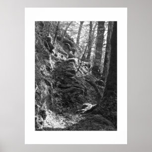 Póster Oveja Herdwick, Cumbria