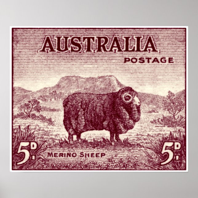 Póster Oveja Merina Australiana de 1934 (Frente)