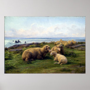Póster Oveja Rosa Bonheur junto al mar