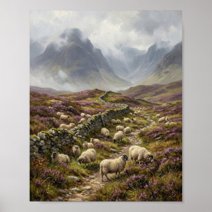 Póster Oveja Scottish Highland Blackface páramo II