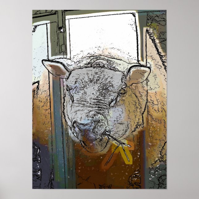 PÓSTER OVEJAS (Frente)