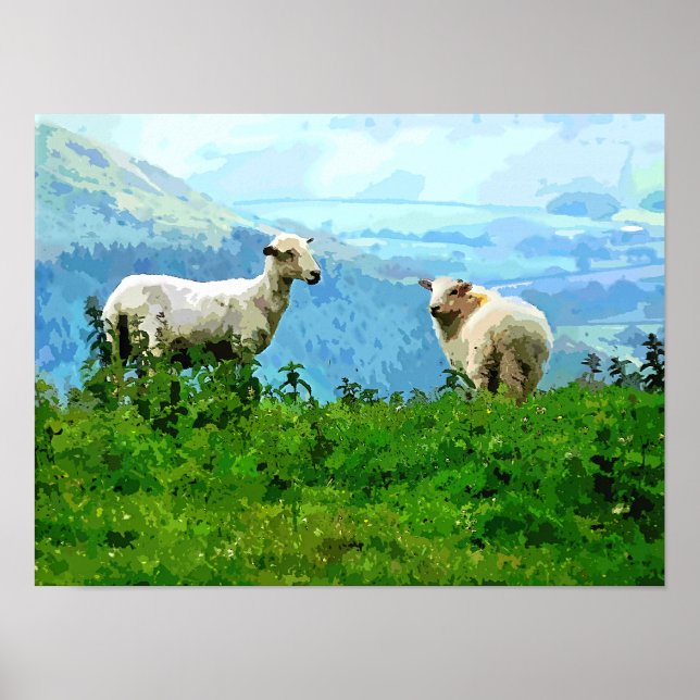 PÓSTER OVEJAS DE MONTAÑA (Frente)