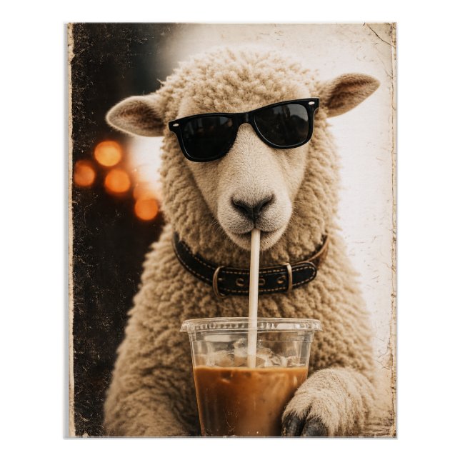 Póster Ovejas geniales bebiendo café helado (Anverso)