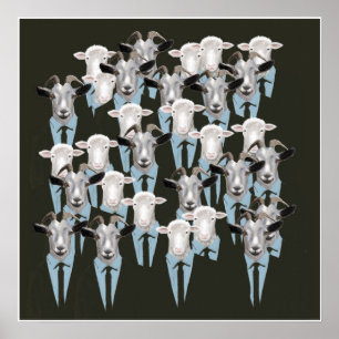Póster Ovejas y cabras