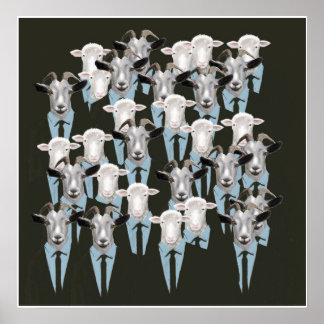 Póster Ovejas y cabras