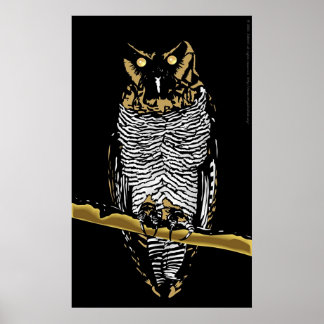 Póster Owl