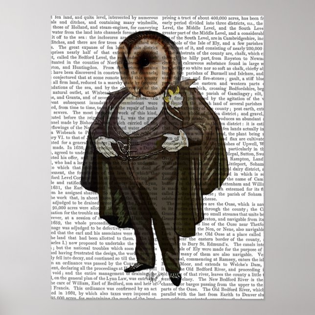 Póster Owl At the Opera (Frente)