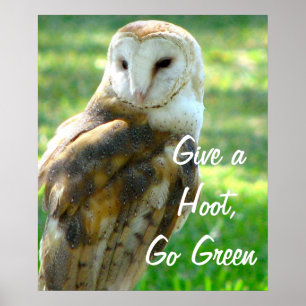 Póster Owl Da Un Hoot