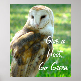 Póster Owl Da Un Hoot