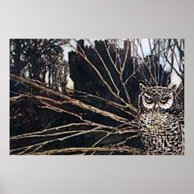 Póster Owl Halloween Creepy Poster (Frente)
