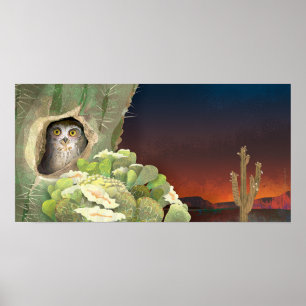 Póster owl in cactus - Poster