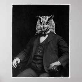 Póster Owl Inventor