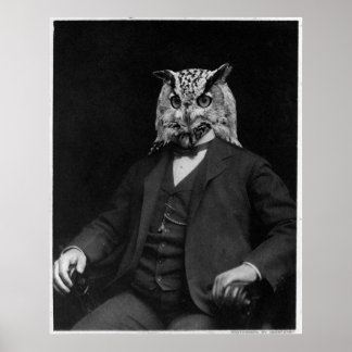Póster Owl Inventor